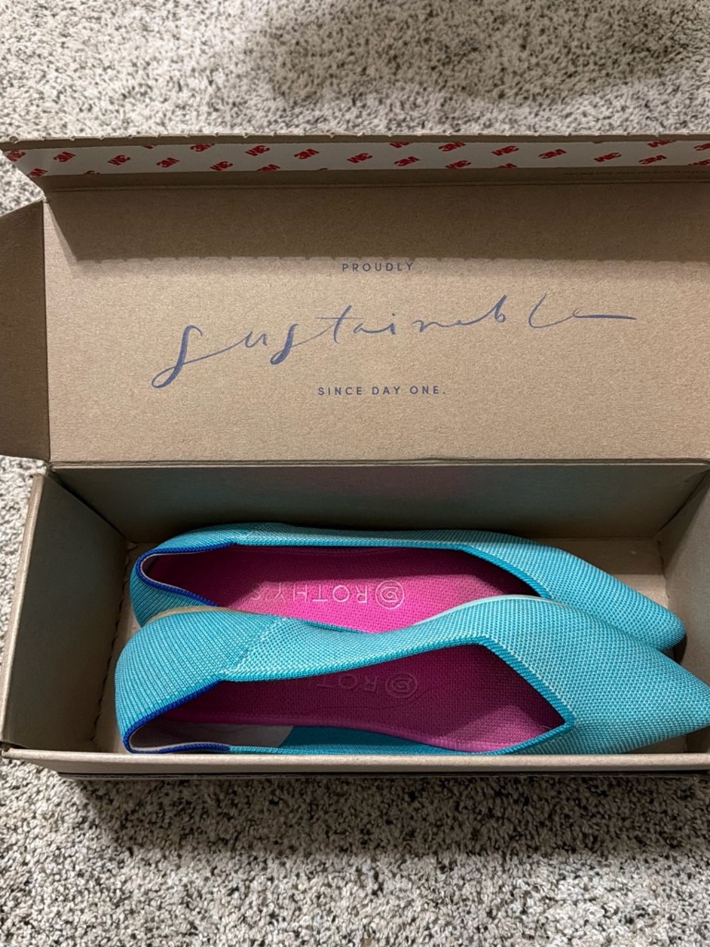 Rothy's Pointed Flat in Turquoise with Pink Insole